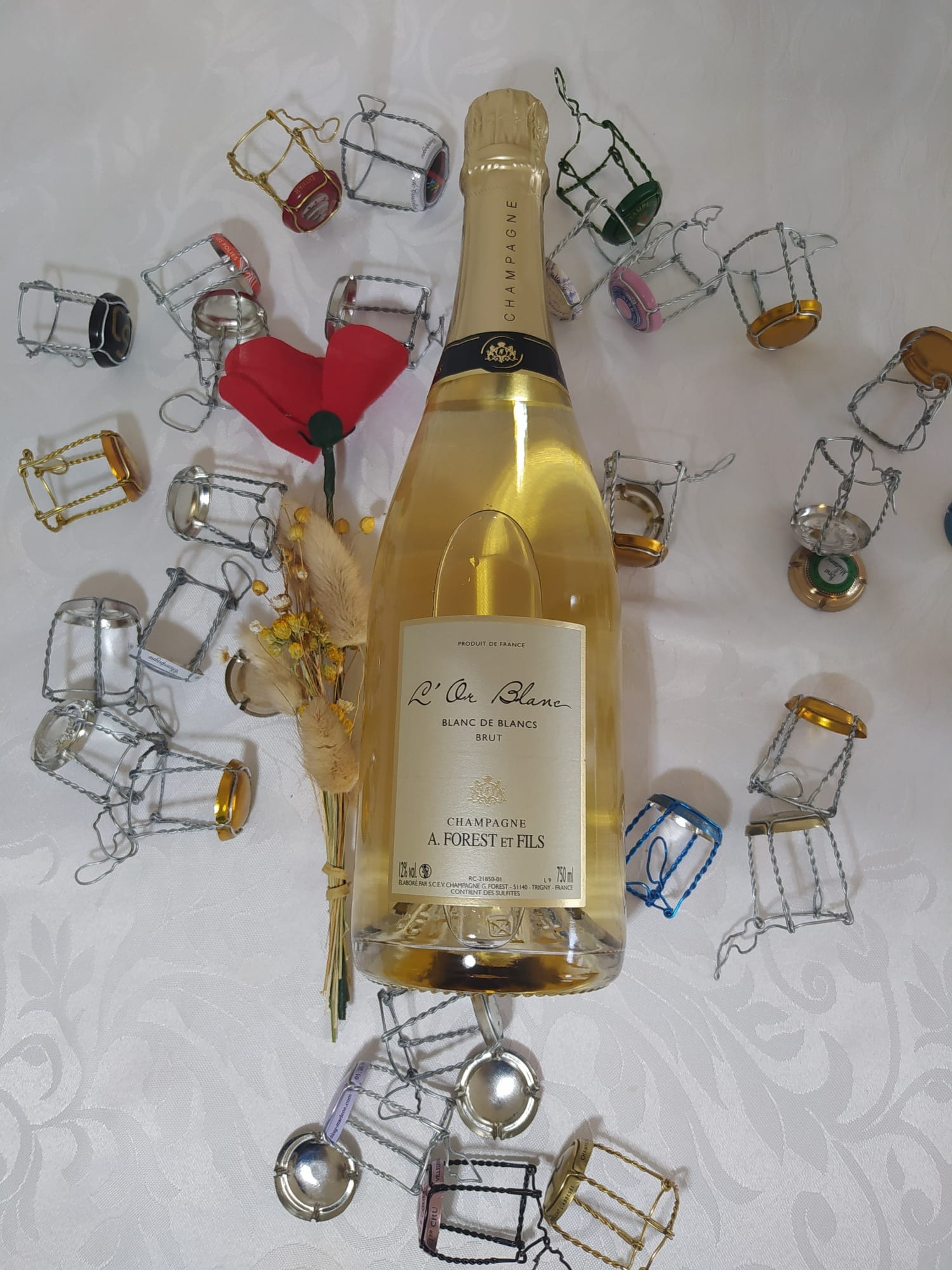 Champagne FOREST Blanc de Blancs